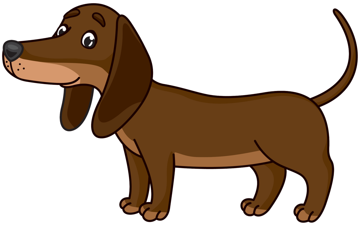 Мордочка собачки