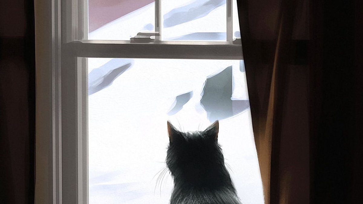 Черный кот на окне