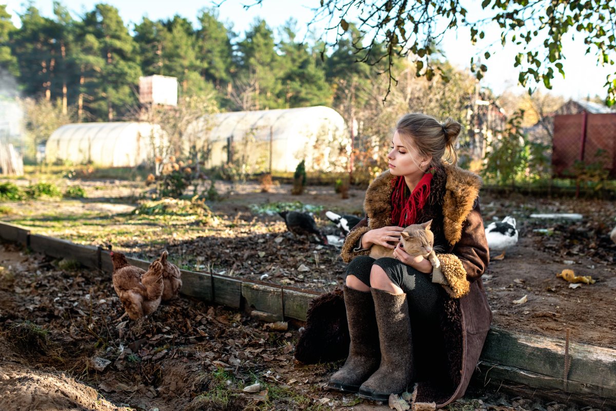 Елена Шумилова Суздаль