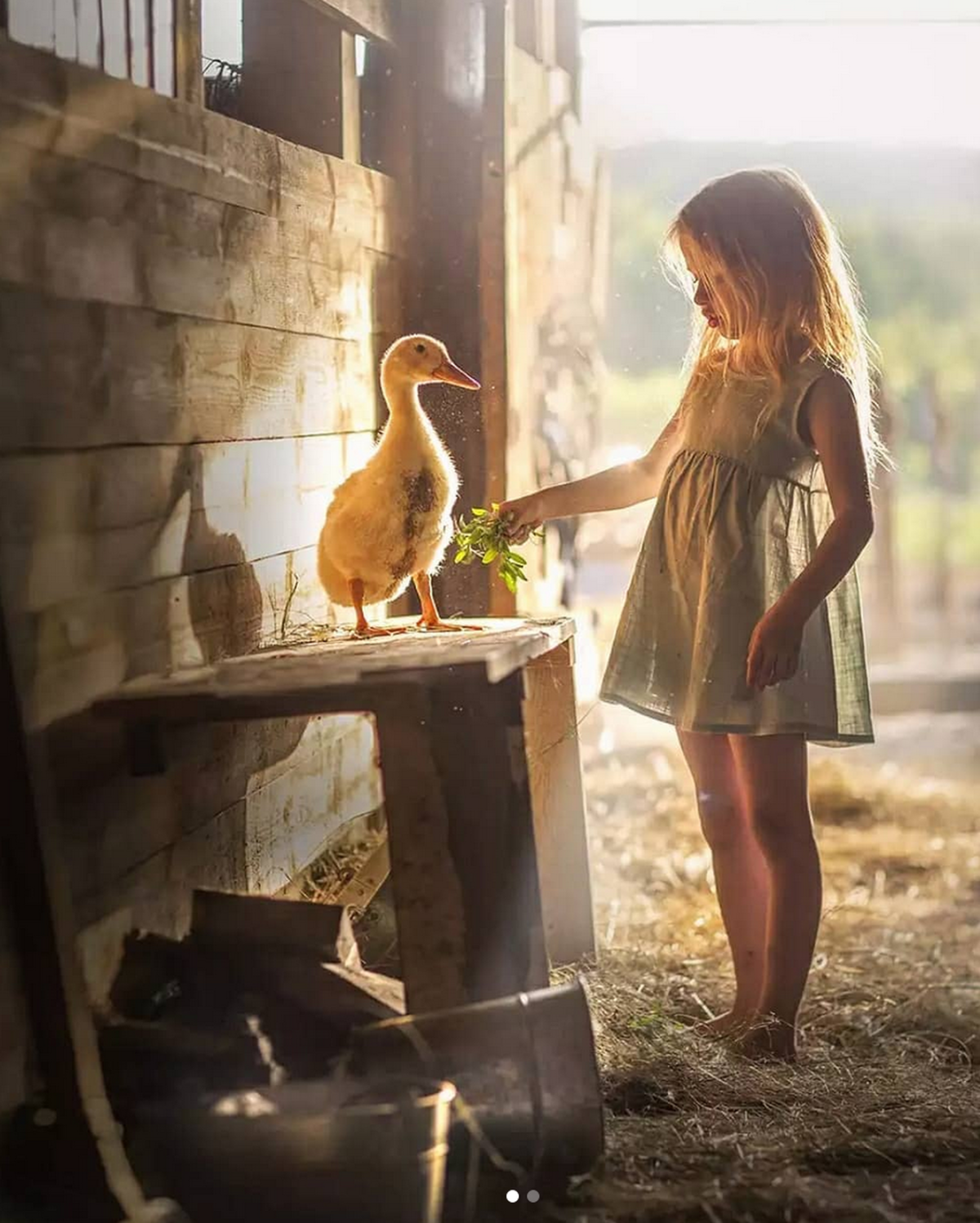 Деревня Лема