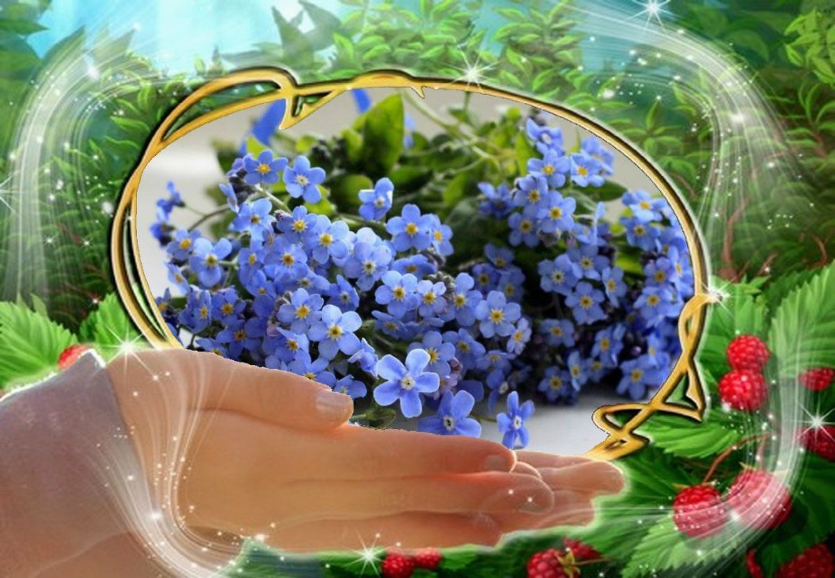 Благословенного дня и доброго здоровья