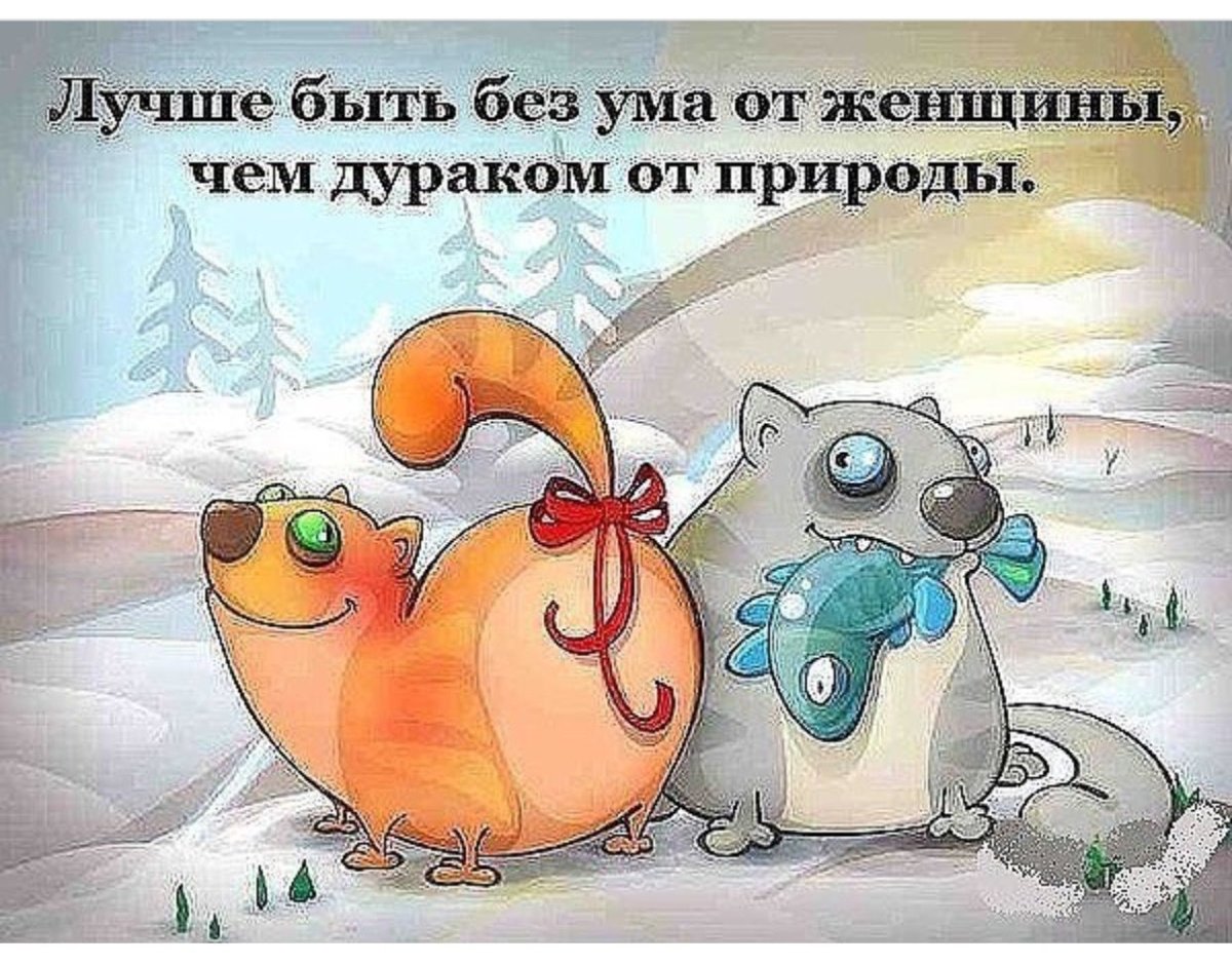 Пятничный позитив в картинках