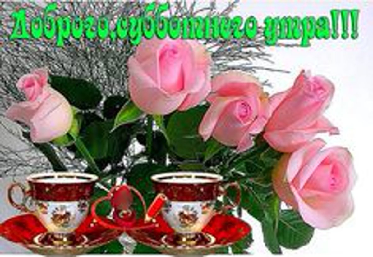 Доброе утро вторника