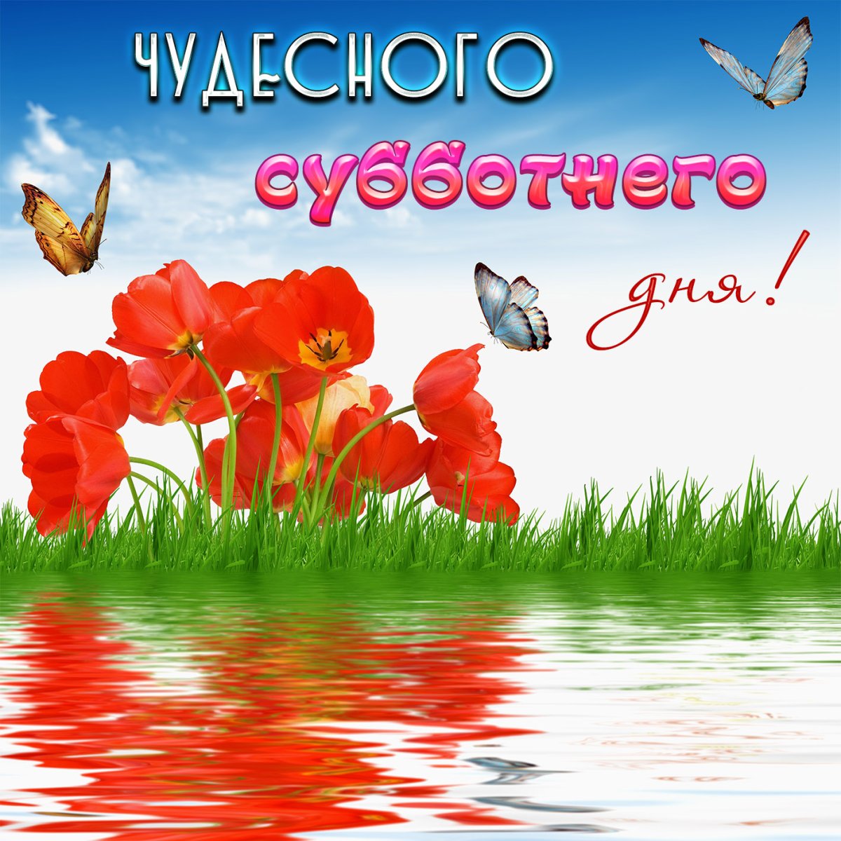 Доброе субботнее утро