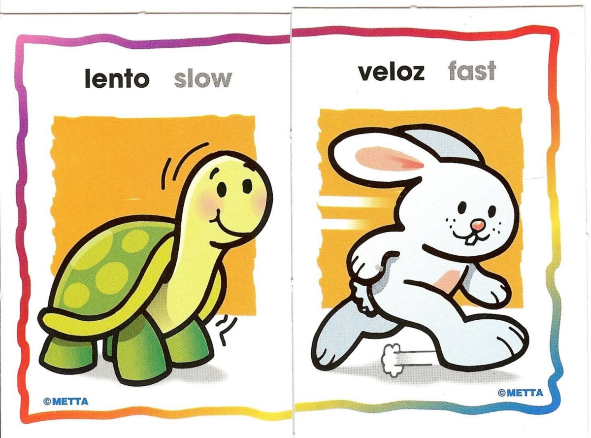 Быстрый медленный