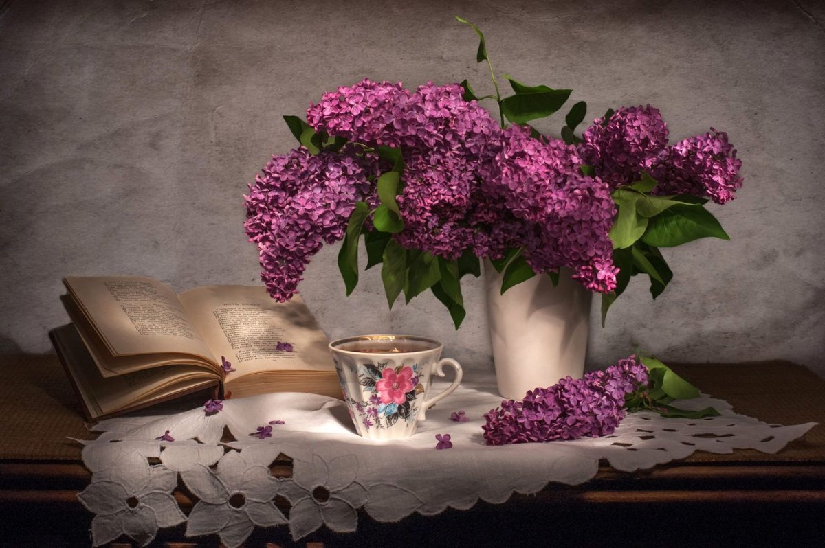 Добрый вечер сирень