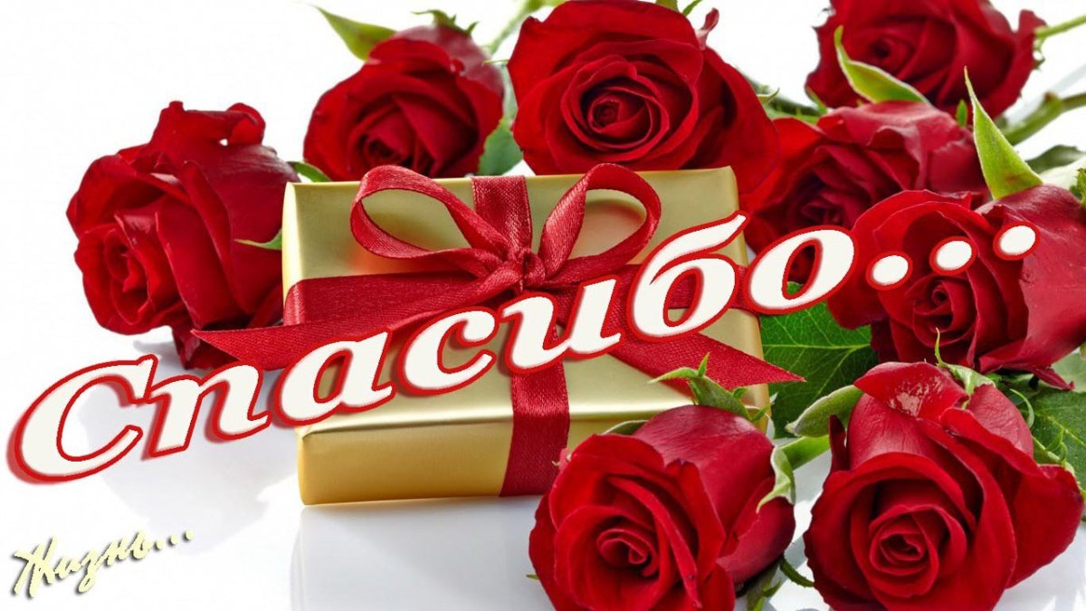 Спасибо моя дорогая