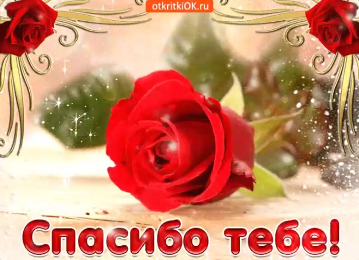 Открытки спасибочки