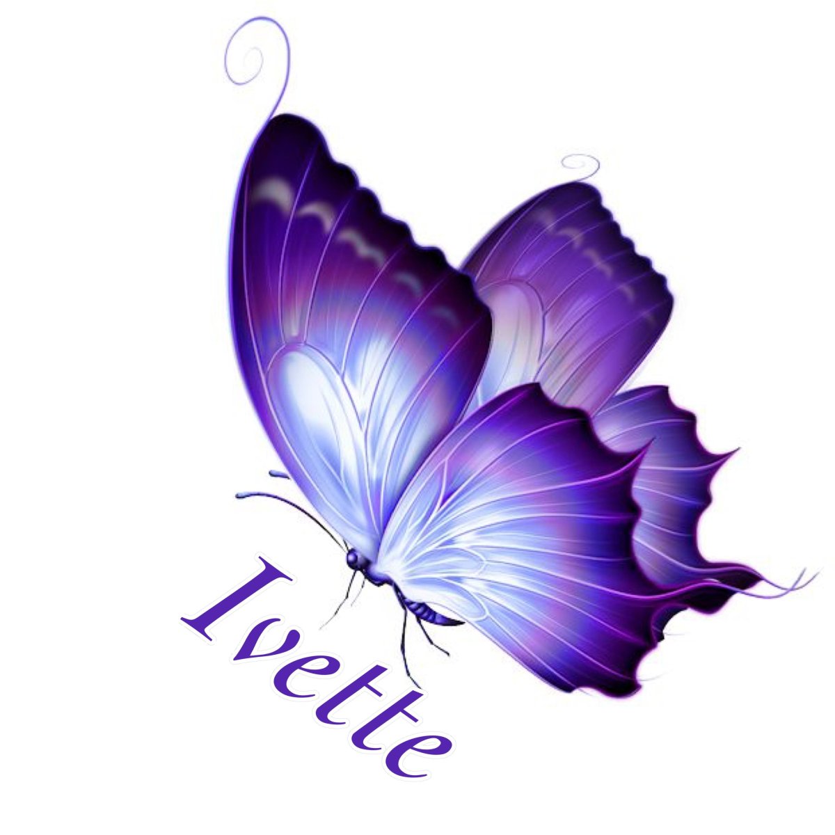 Бабочка фиолетовая