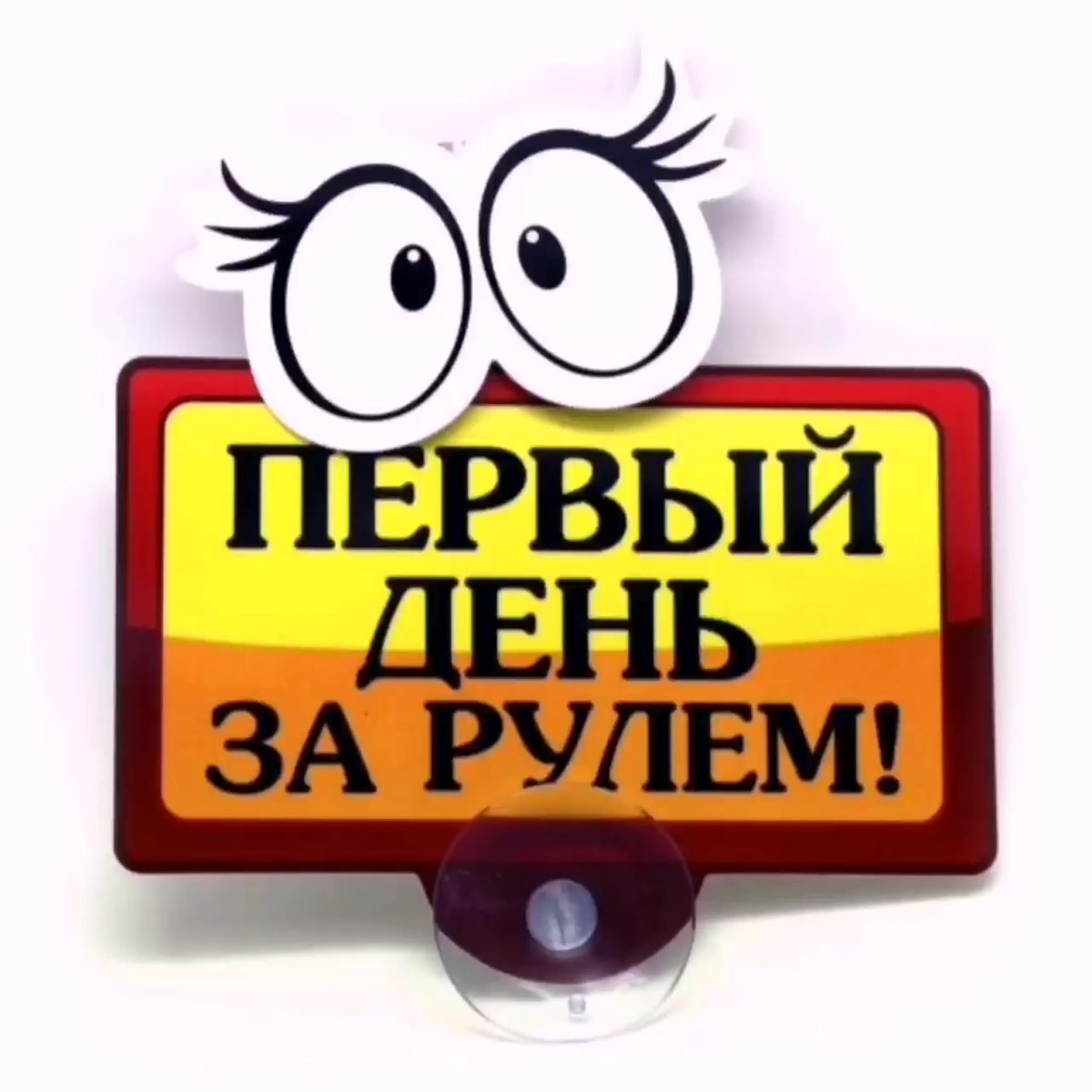 Экзамен картинки