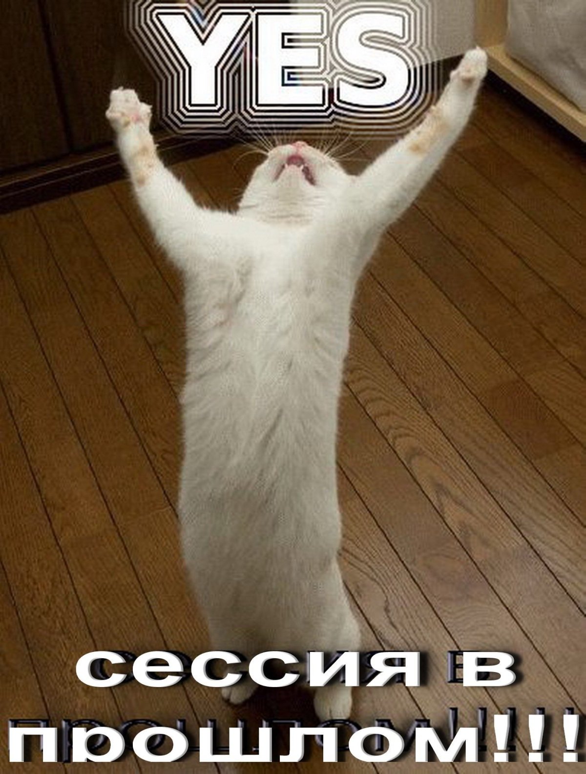 С днём рождения Колян