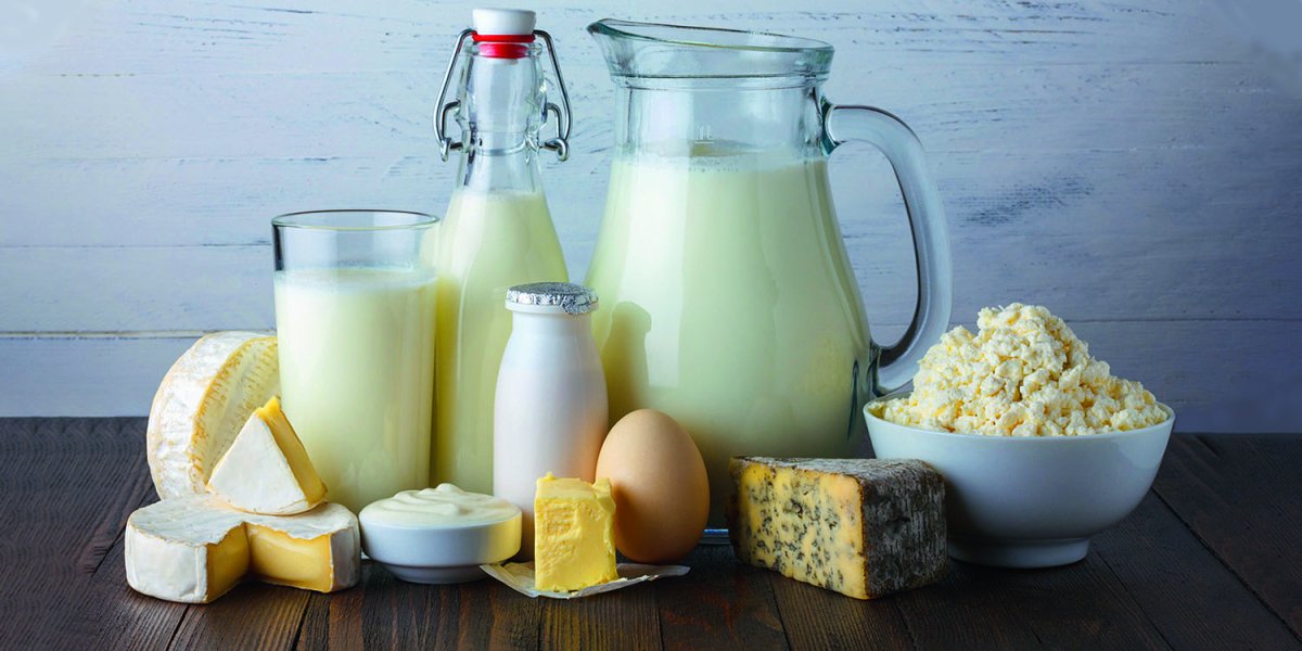 Молоко, кефир, сметана, йогурт всё вместе фото