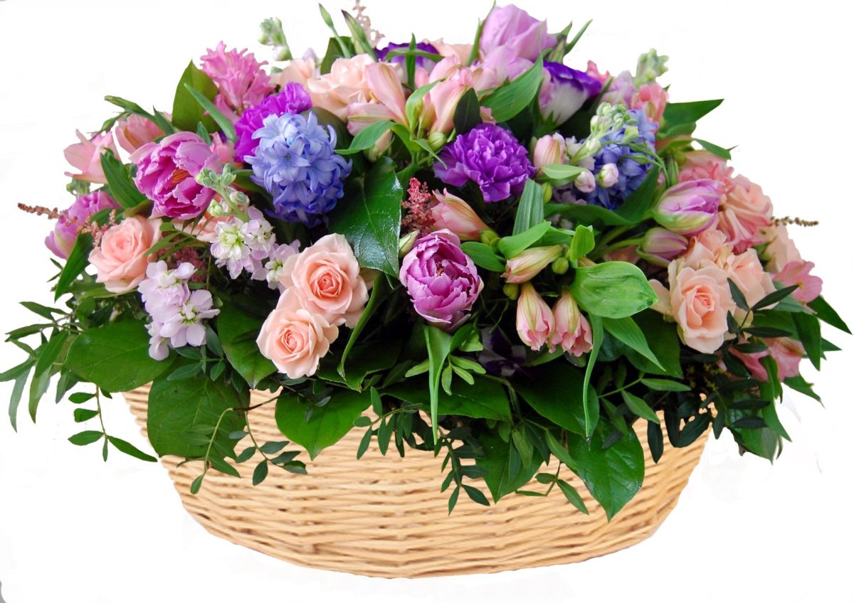 Красивые цветы в корзине