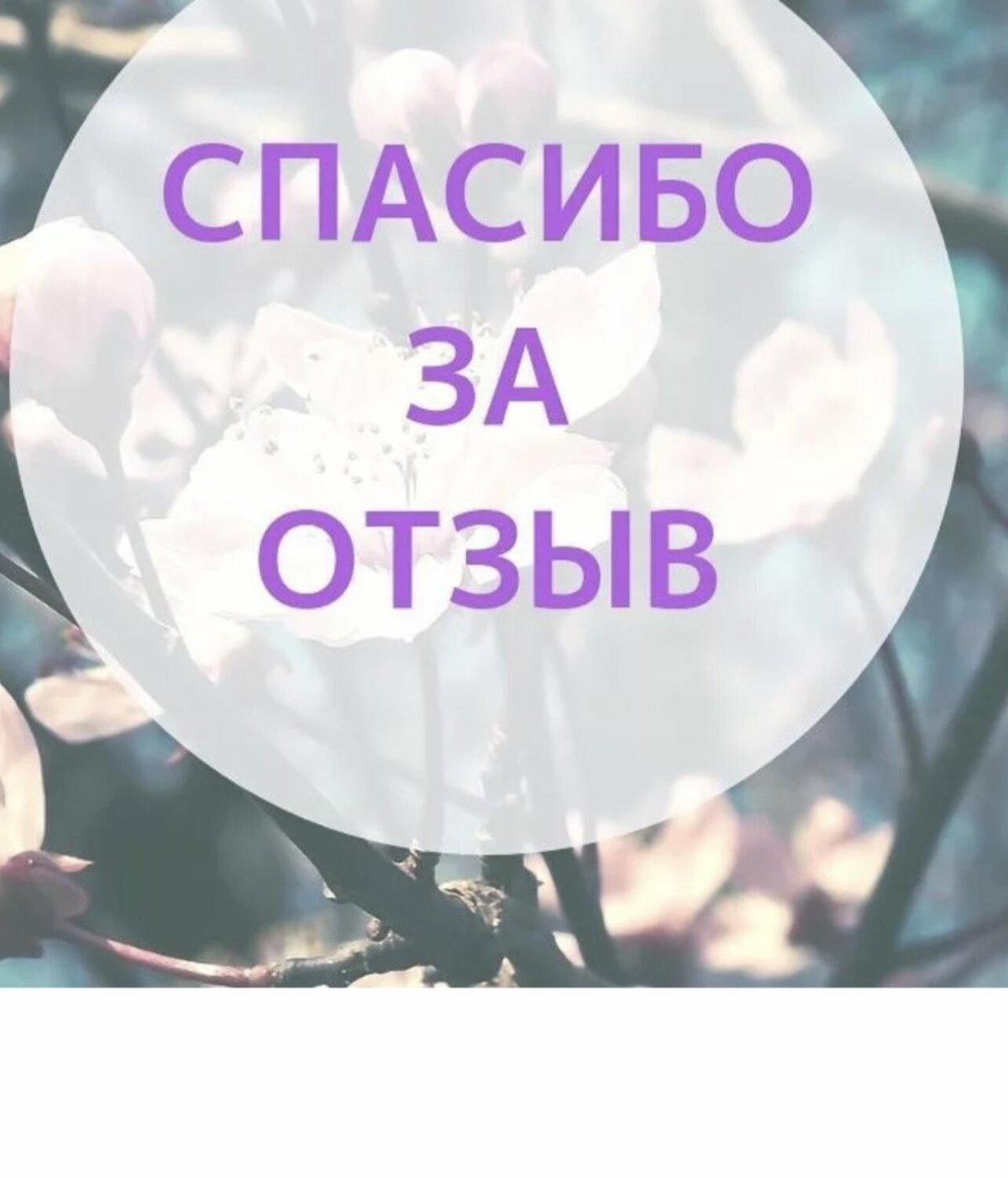 Спасибо за внимание ко мне