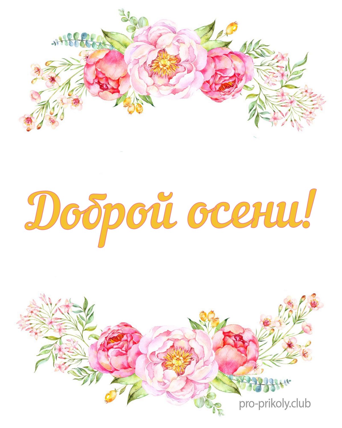 Утренняя мудрость