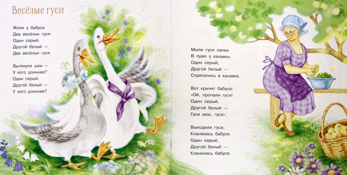 Два гуся на белом фоне