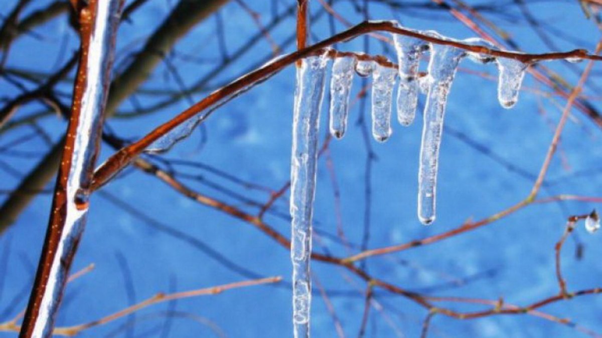 Ледяные сосульки