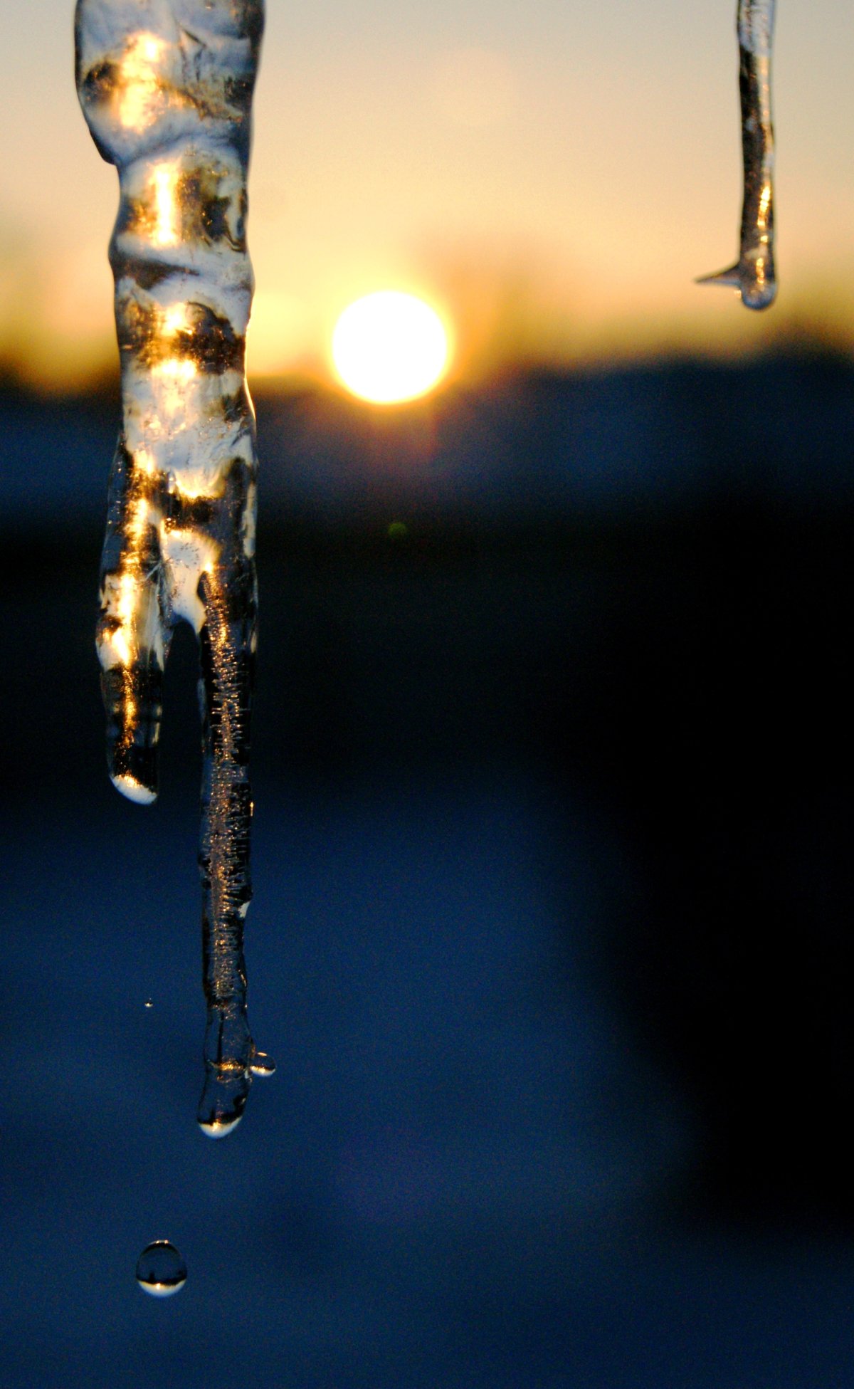 Весенняя капель