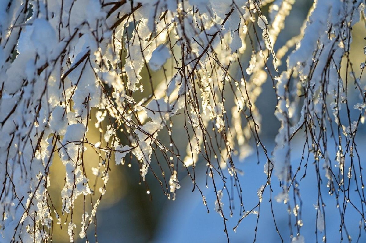 Весна капель картинки