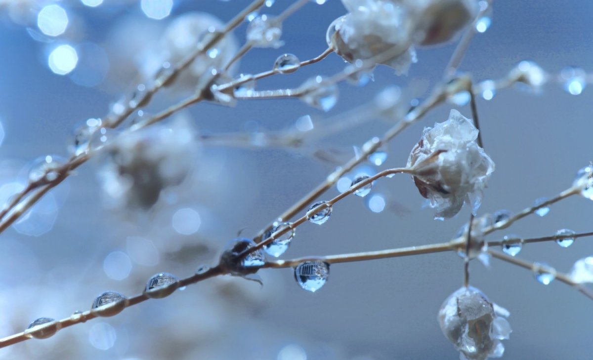 Март капель