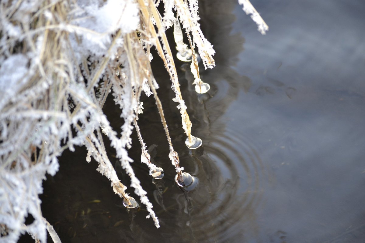 Лед сосульки