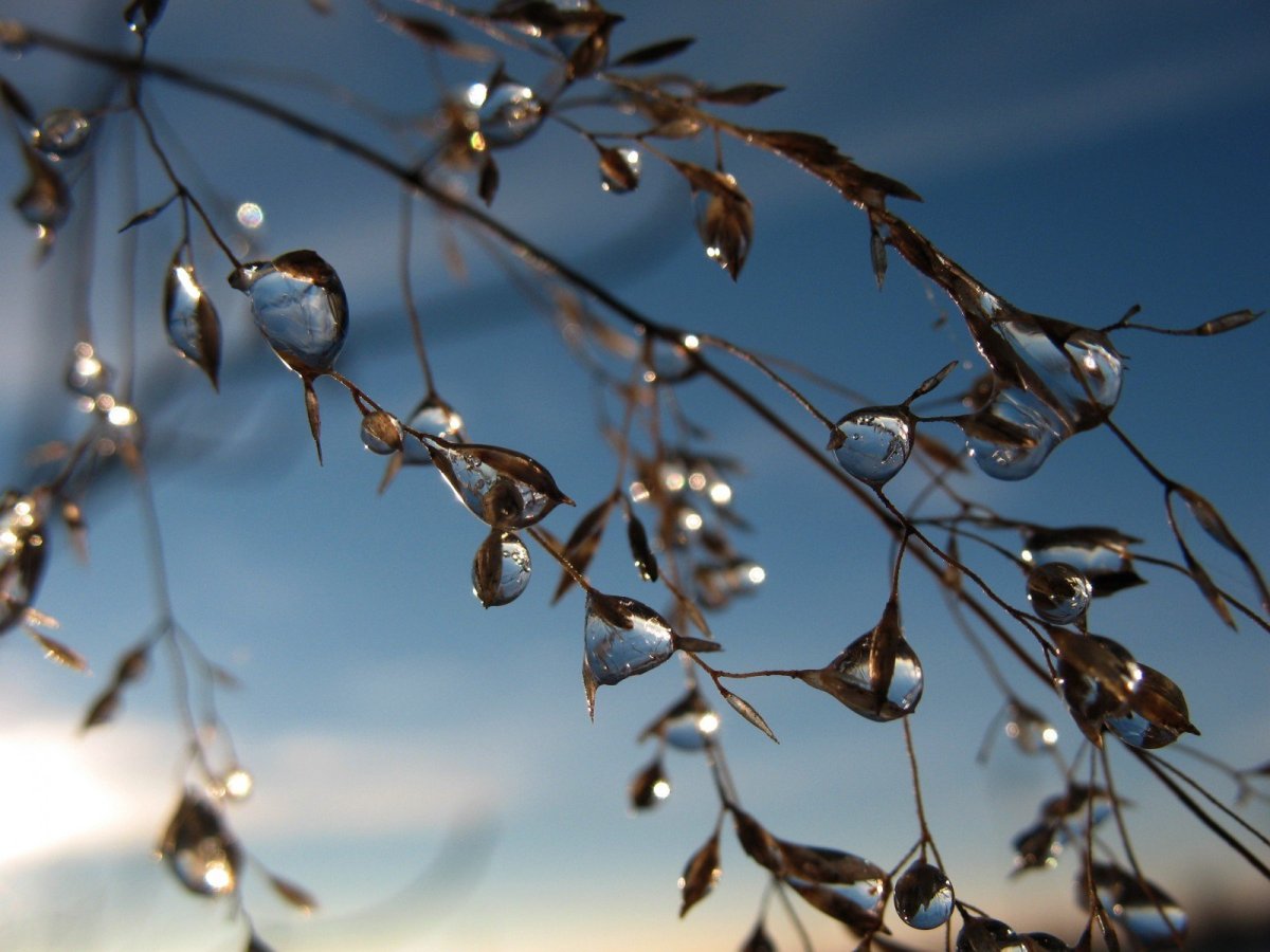 Природа сосульки