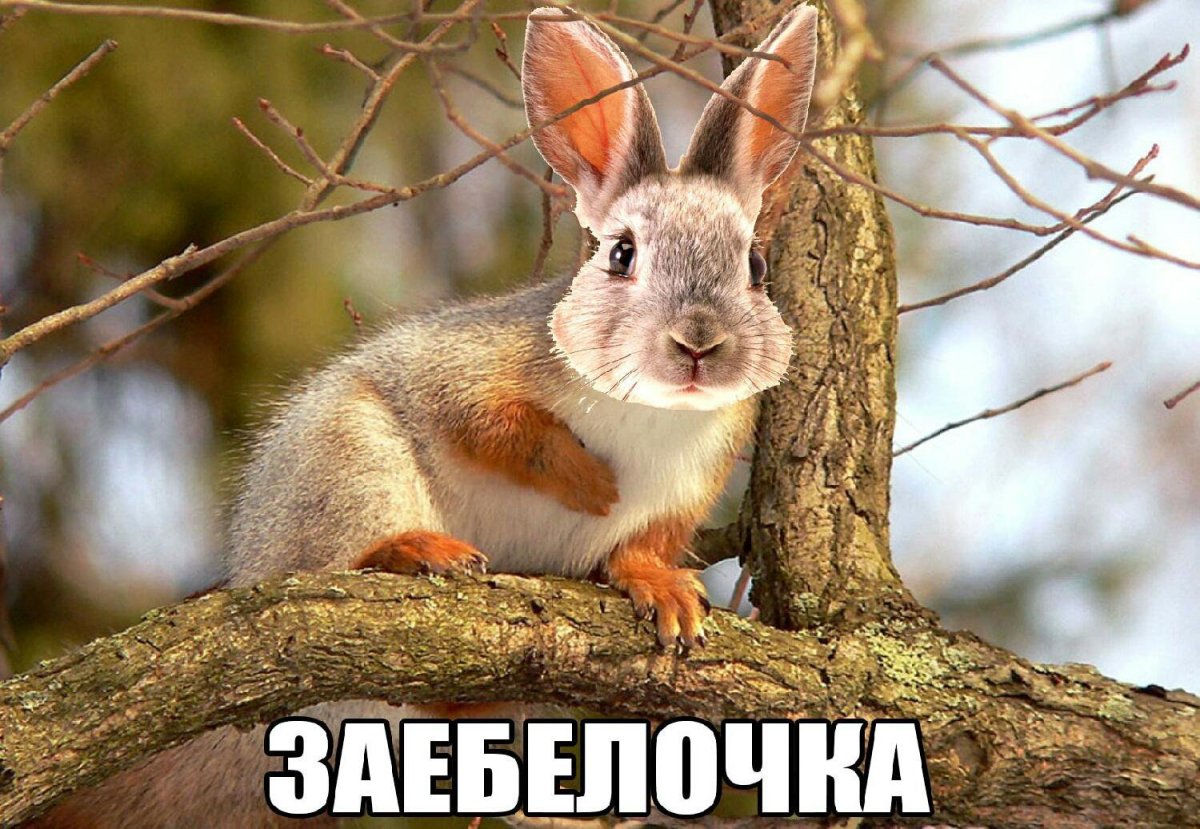 Брошь из кожи и меха