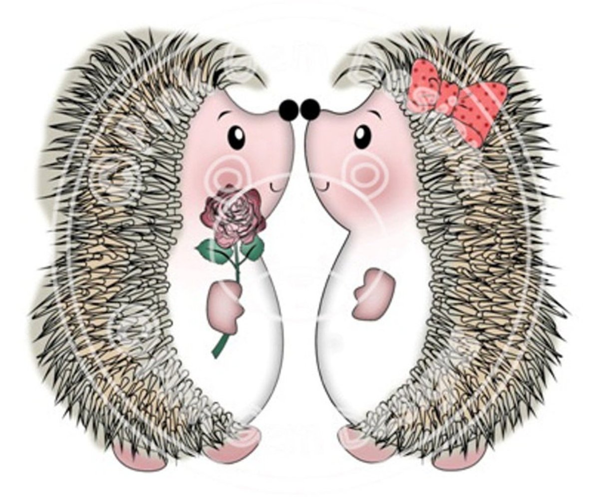 Два влюблённых Ёжика