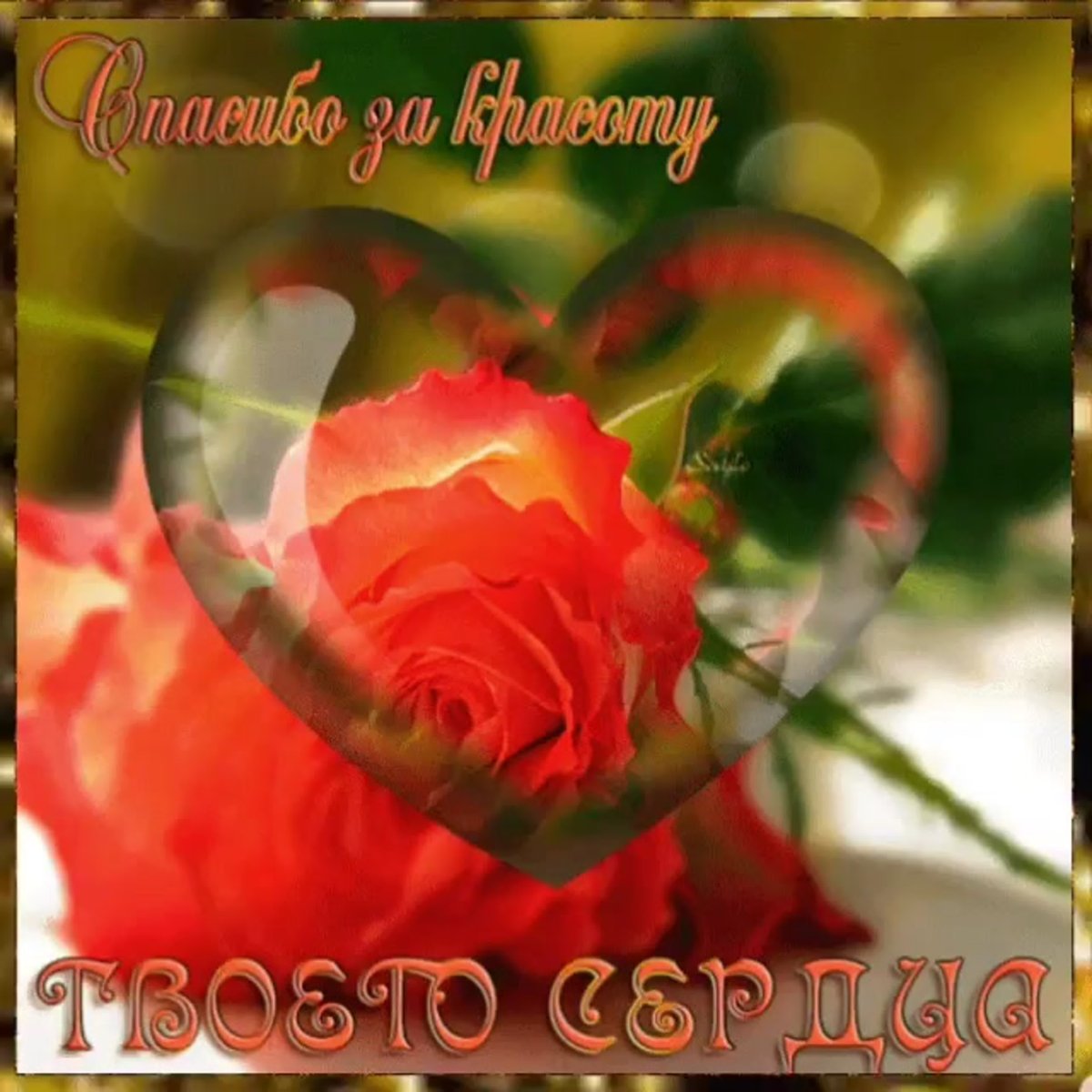 Стихи для влюбленных