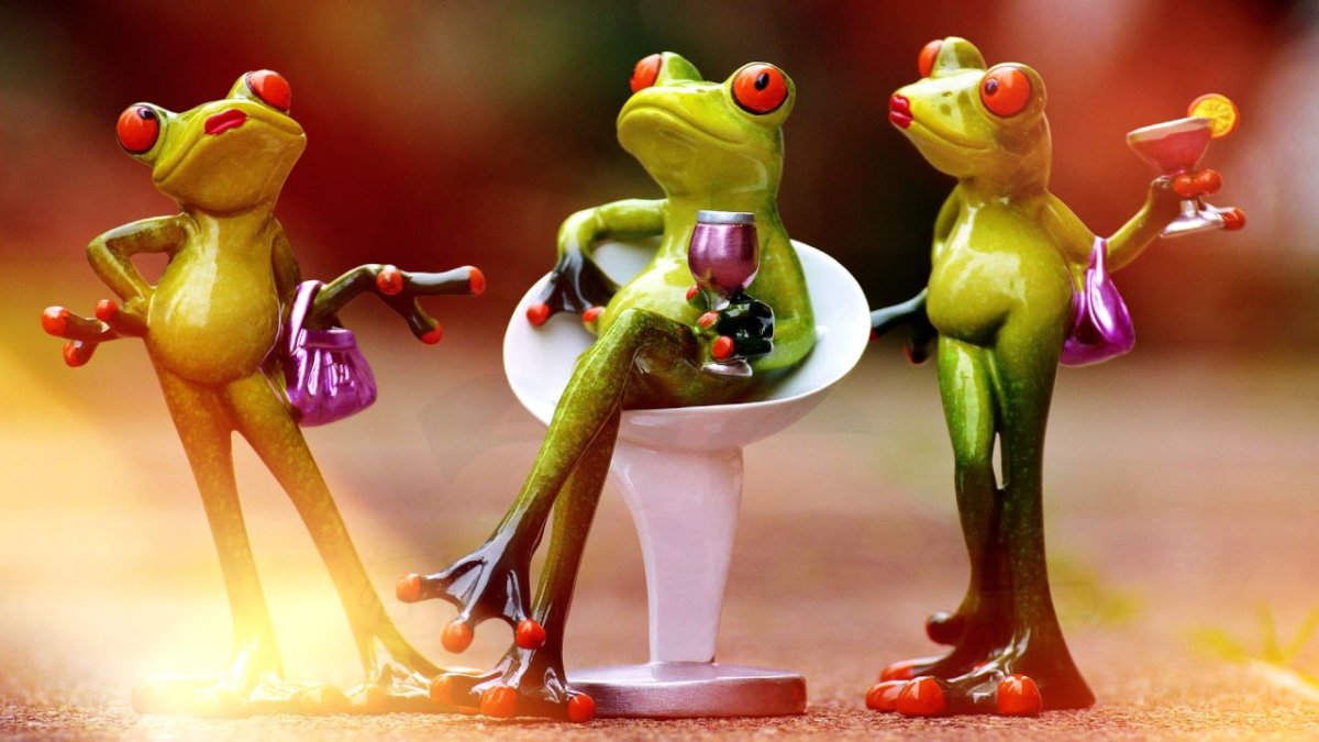 Лягушки подружки