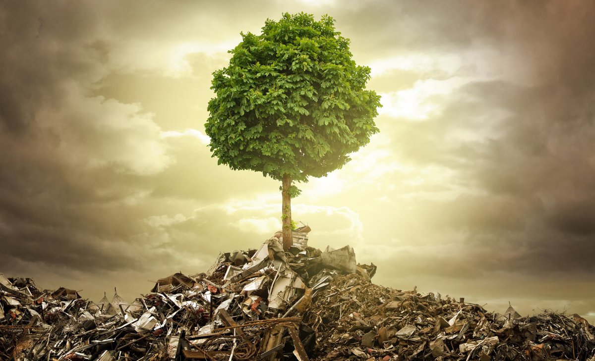 Загрязнение окружающею среды