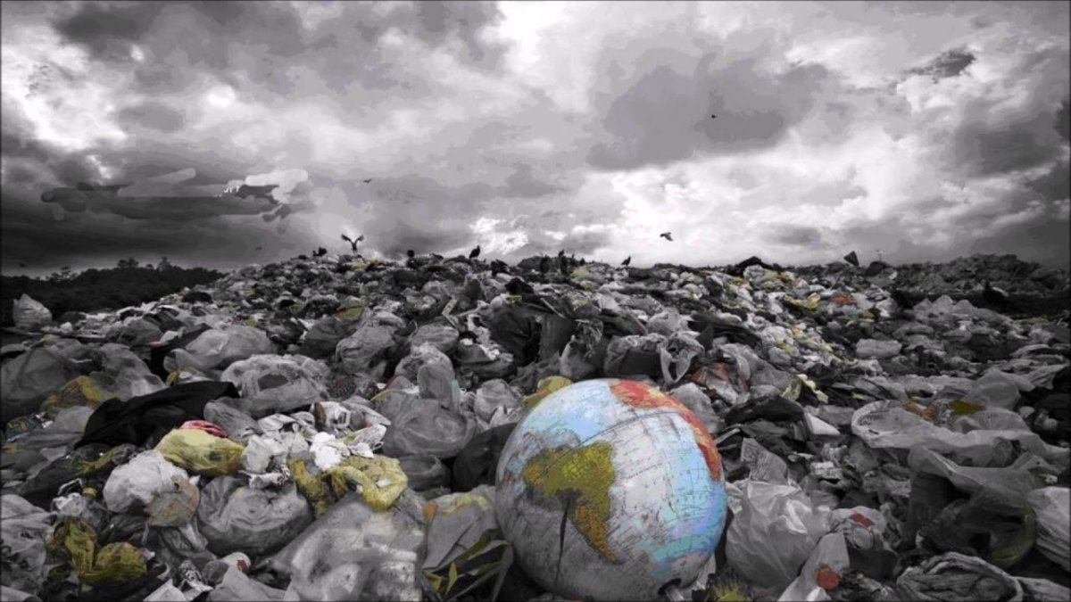 Человек против природы