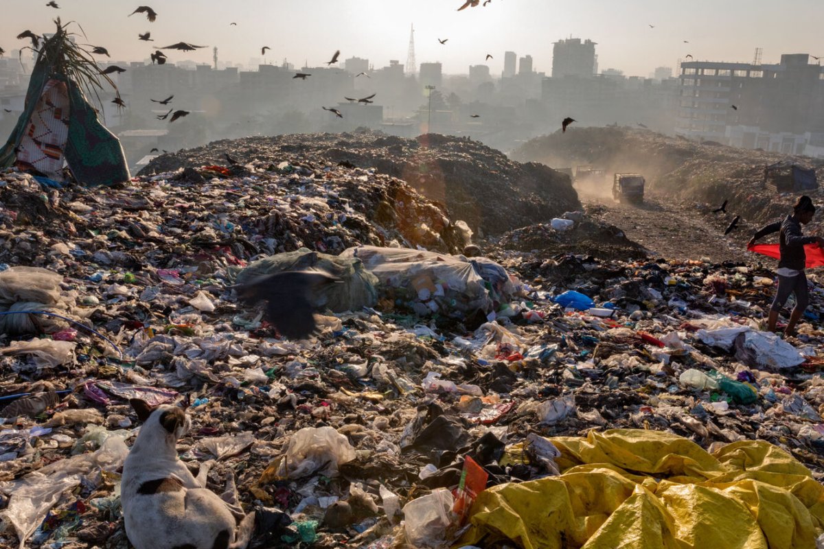 Фабрис Монтейро боги мусора