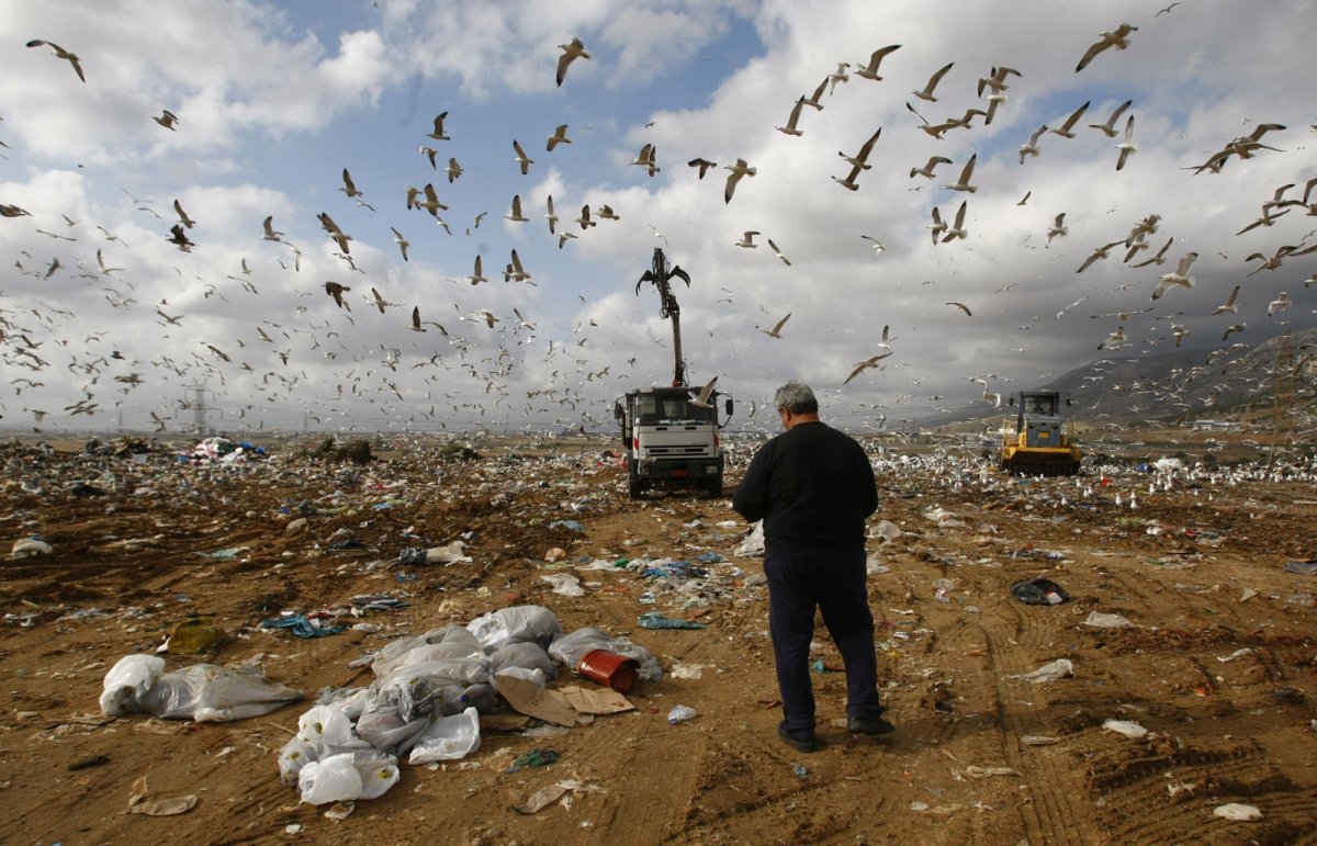 Заводы загрязняющие окружающую среду
