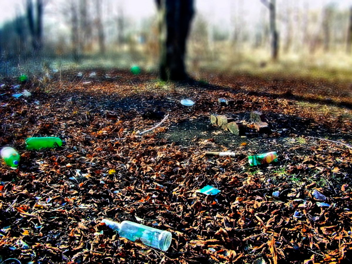 Загрязнение окружающейтсреды