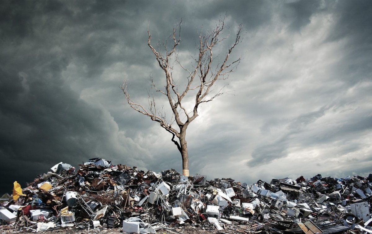 Экологический апокалипсис