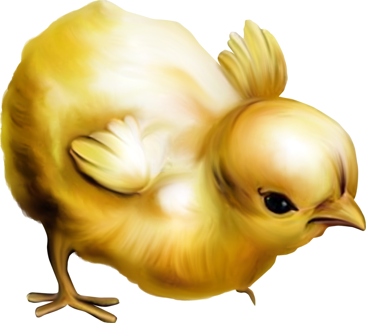 Самые маленькие цыплята