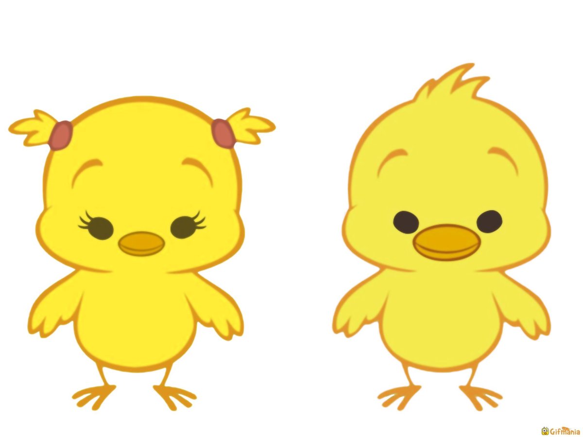 Цыпленок рисунок