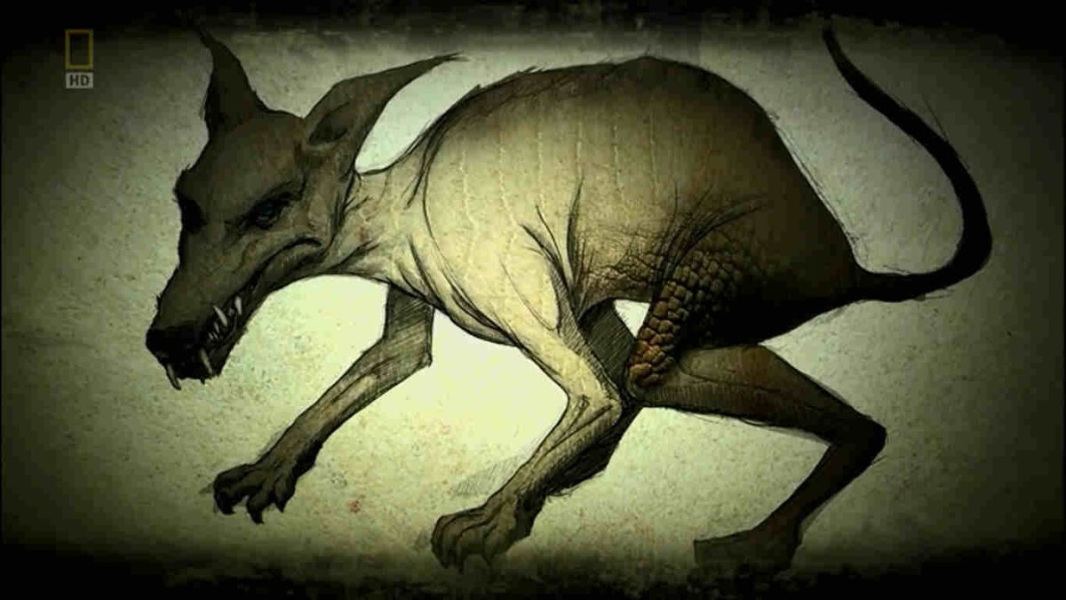 Чупакабра рисунок Черноброва