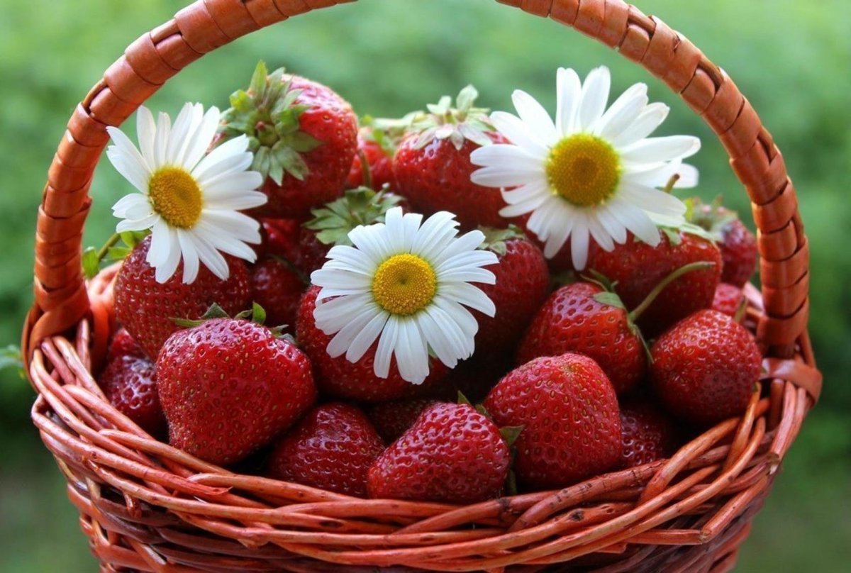 Доброе утро малина