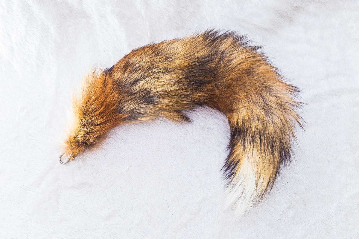 Лисий хвост Кемерово