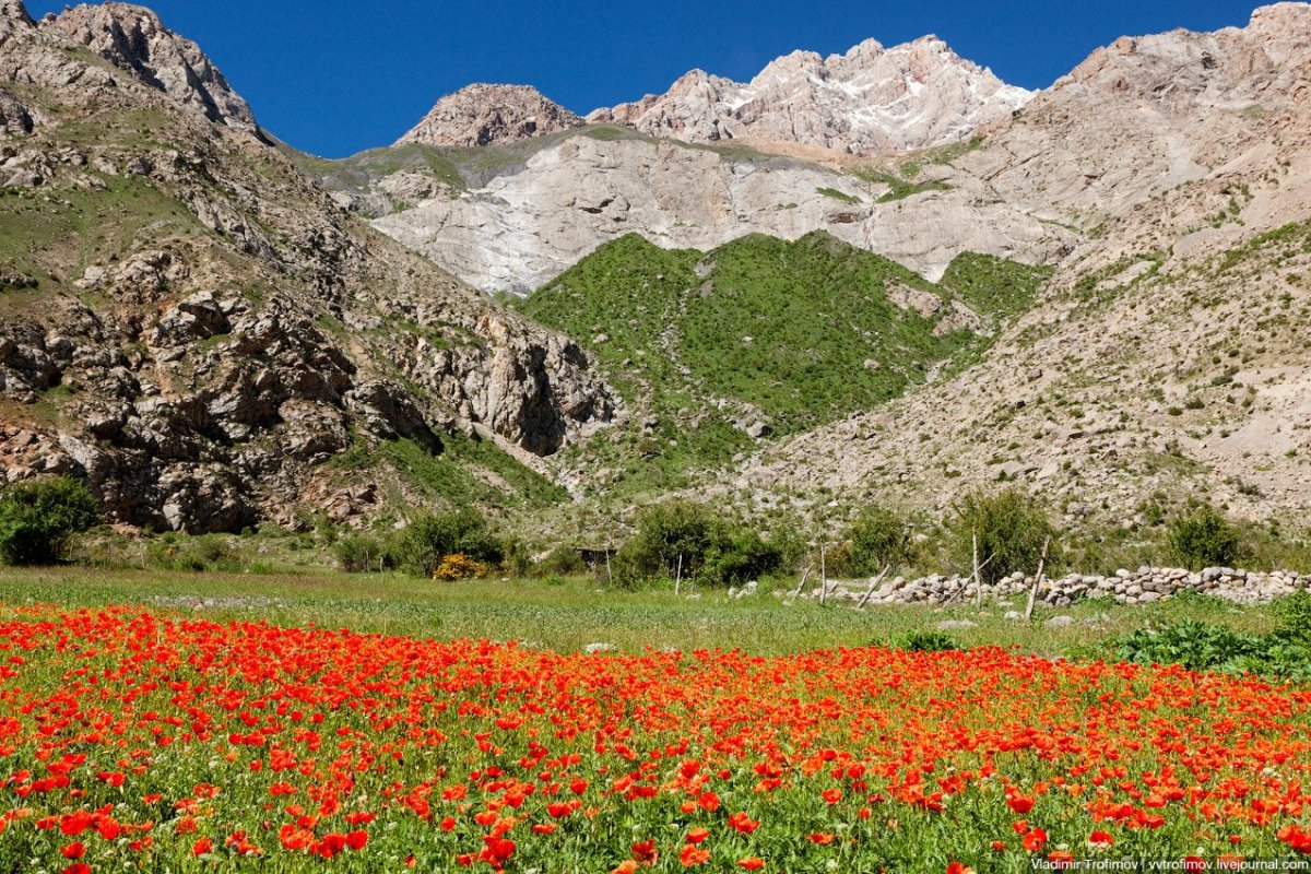 Западный Тянь-Шань. Чаткальский заповедник