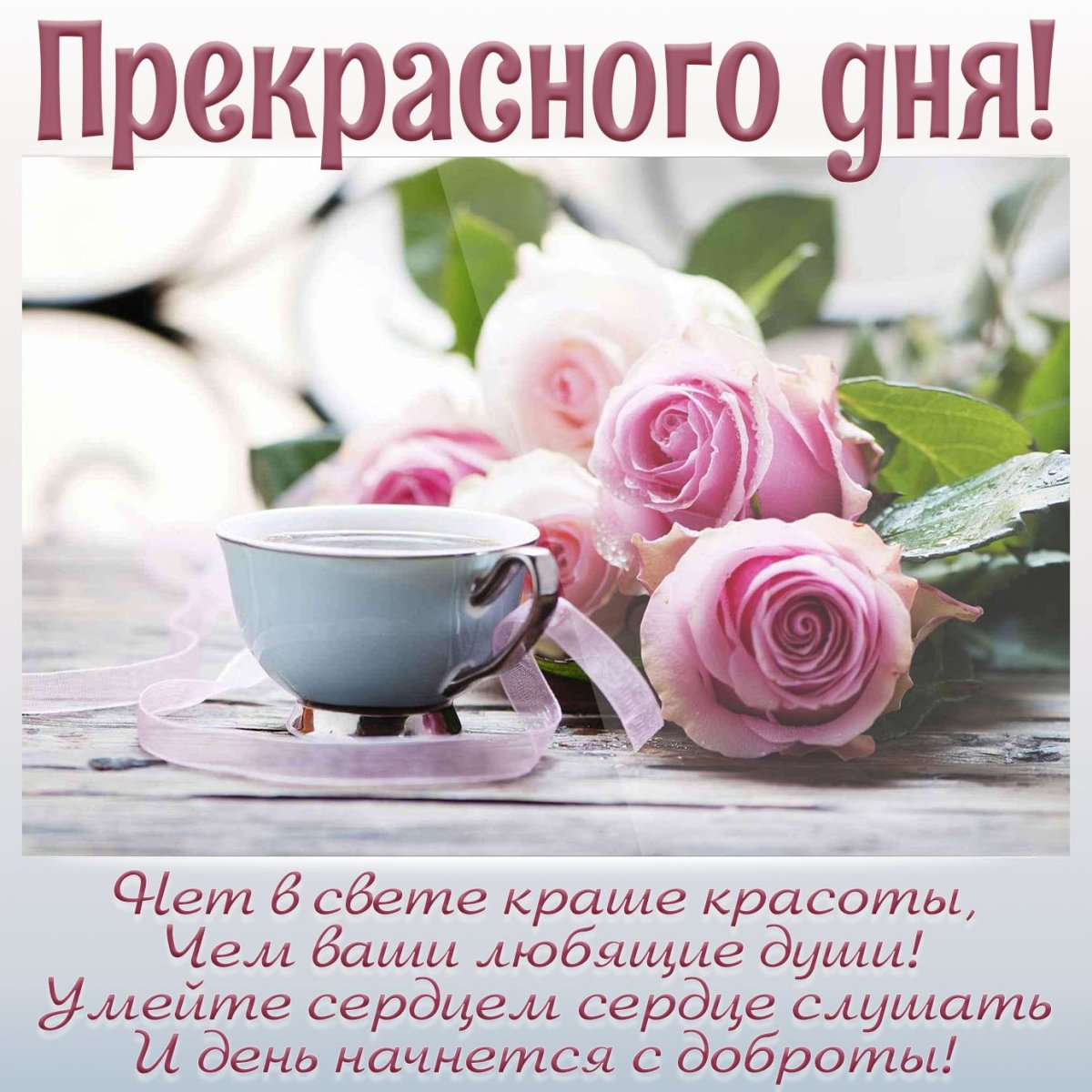 Доброе утро вторника