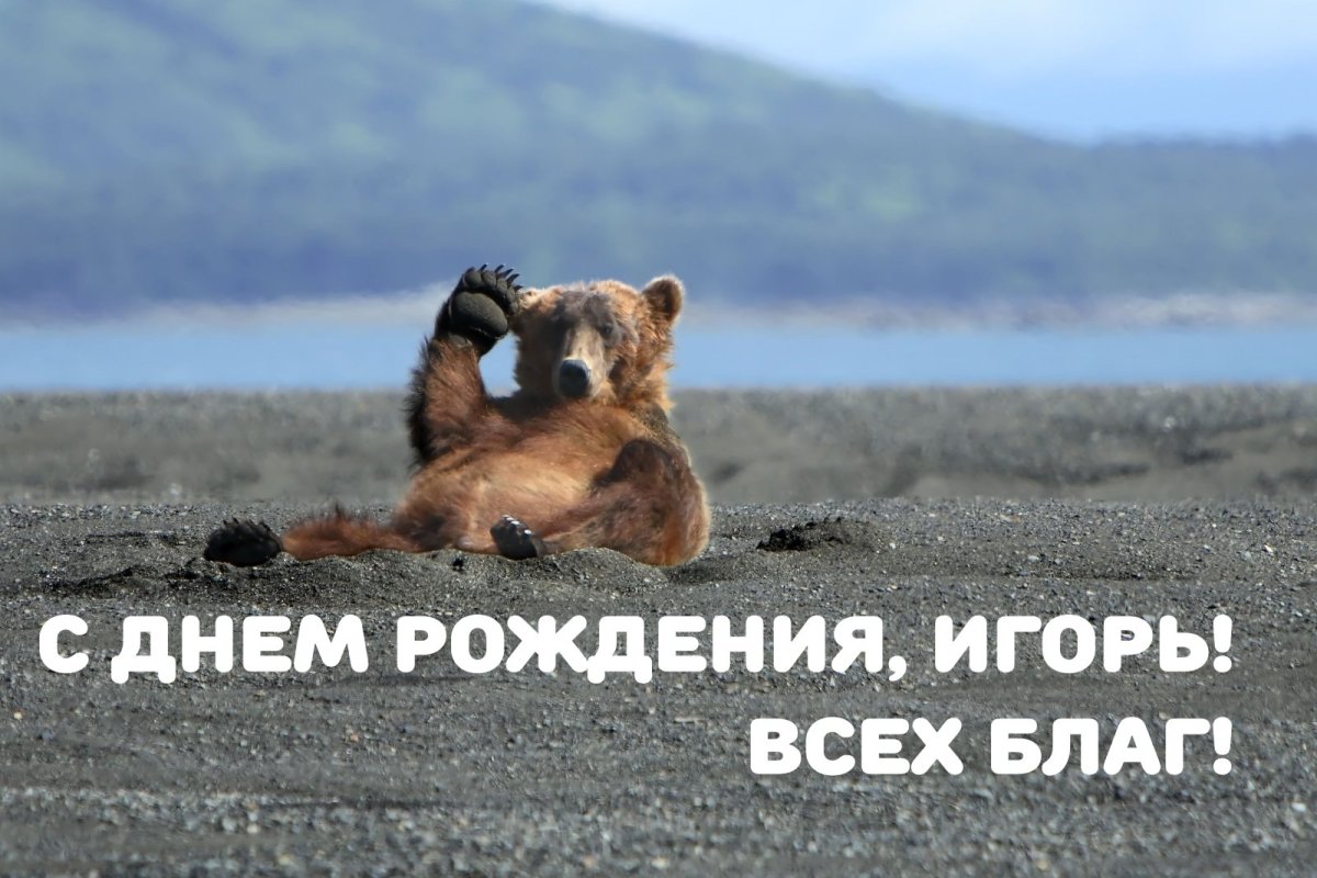 С днём рождения Игорь прикольные