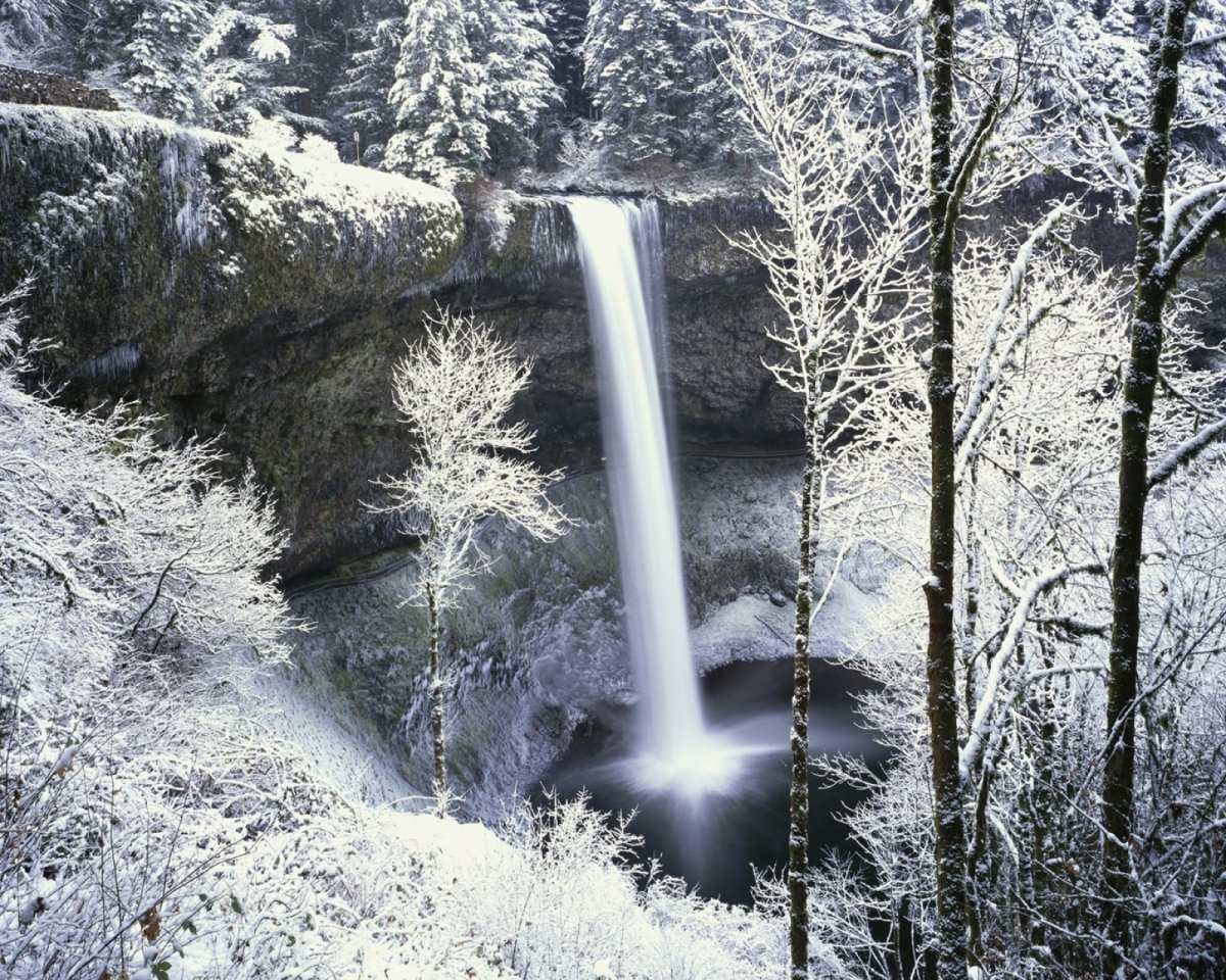 Красивая сиреневая зима