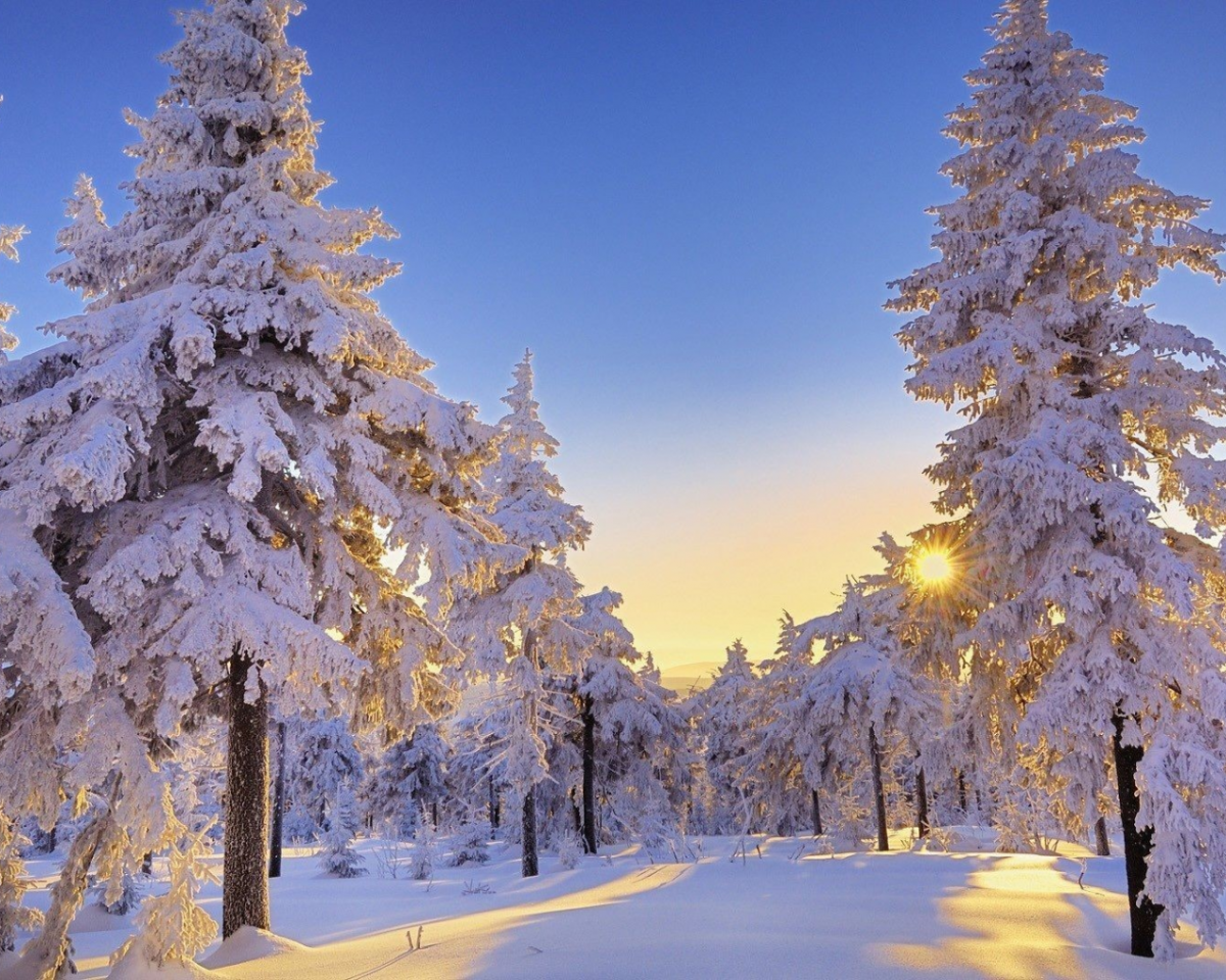 Река зимой Эстетика