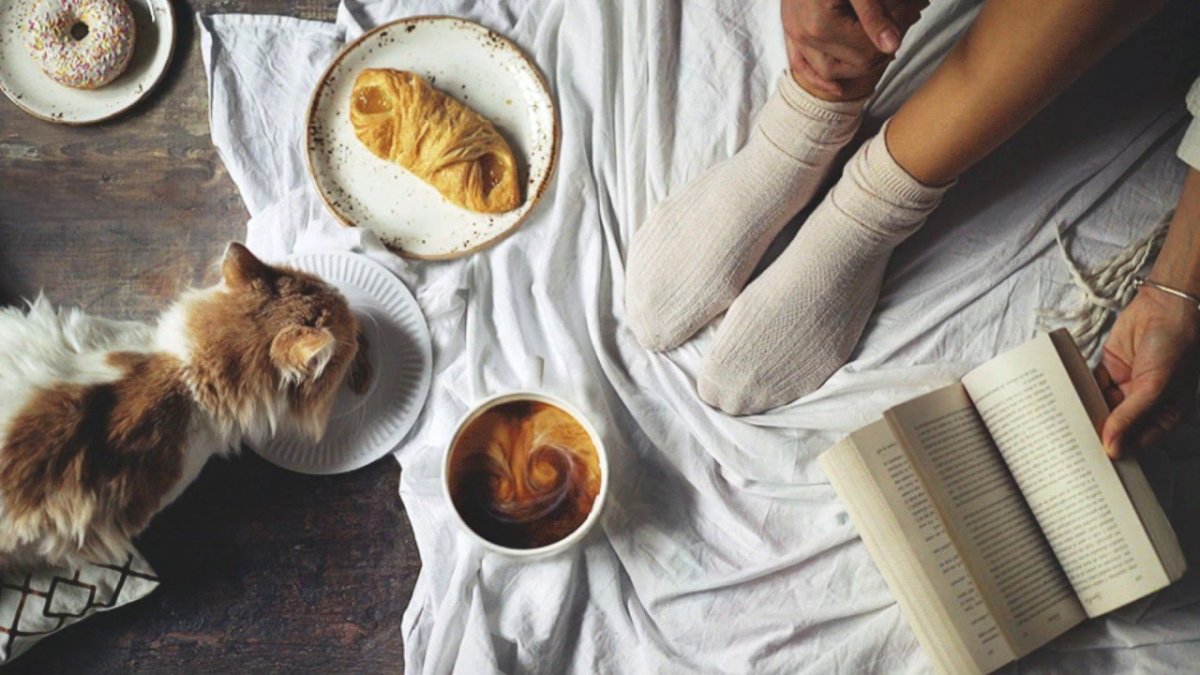 Девушка с котом и кофе