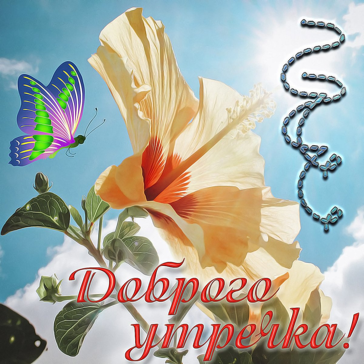 Открытки с добрым утром красивые