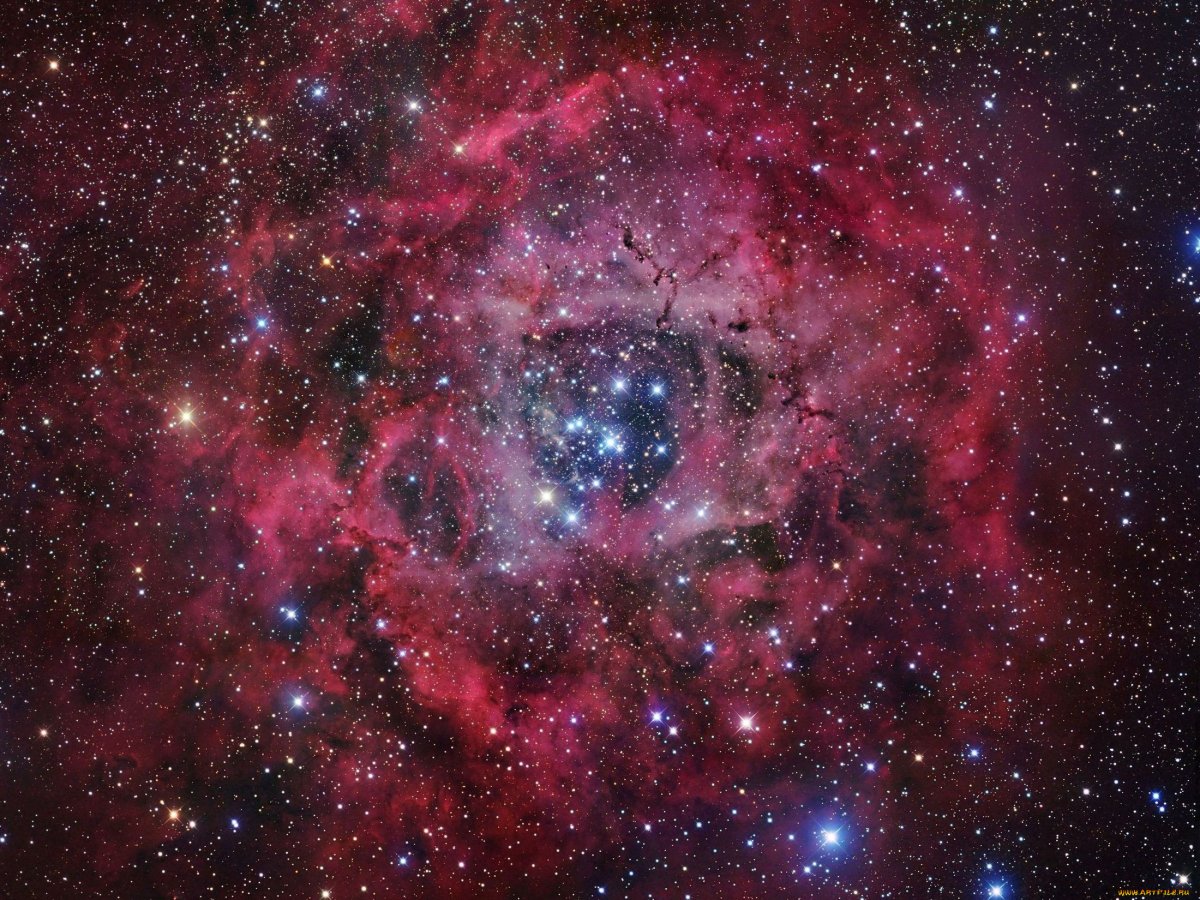 Спасибо за внимание планеты