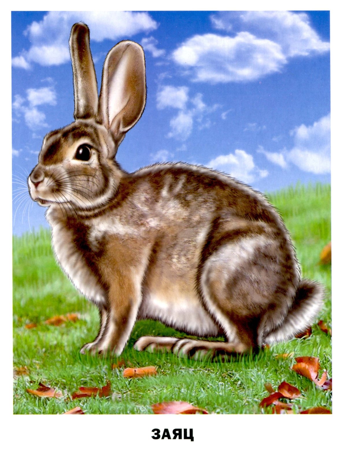 Зайчик для дошкольников